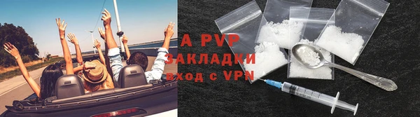 apvp Верея